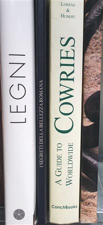 Lotto composto da alcuni volumi sull'antiquariato e l'artigianato (difetti).