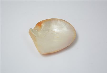Conchiglia in madreperla