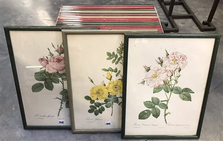 Lotto composto da ventiquattro stampe con fiori (cm 40x30) In cornici