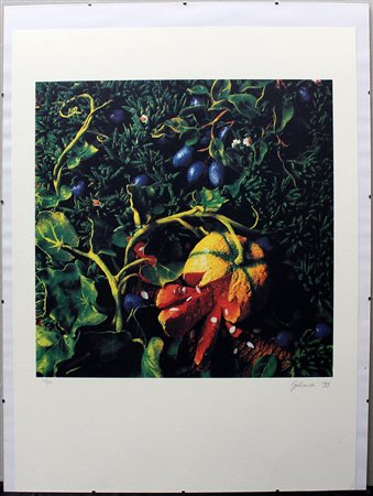 Piero Gilardi (Torino 1942)"Senza titolo" 1999 litografia a coloricm...