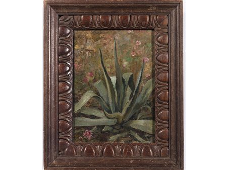 Anonimo Anonimo (XIX secolo) L'agave 19x14 cm Olio su tela
