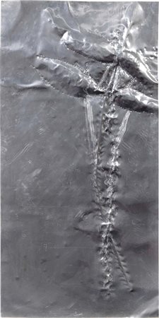 Giacinto Cerone, Melfi (Pz) 1957 - Roma 2004, Senza titolo (Fiori), 1992,...