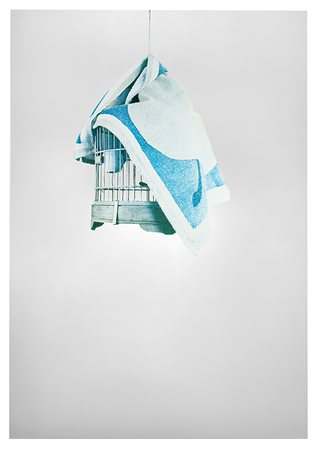 Michelangelo Pistoletto (Biella 1933)"Gabbia" 1970 (circa)serigrafia su...