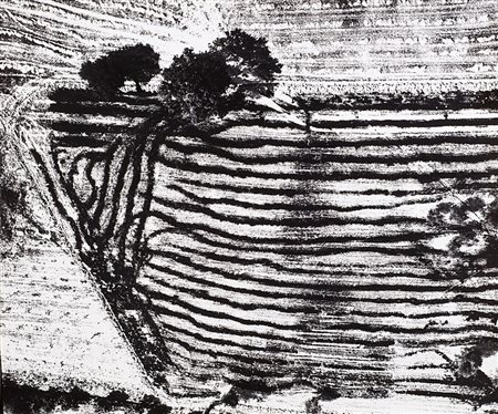 Mario Giacomelli (Senigallia 1925 - Senigallia 2000) Paesaggio 1978 Stampa...