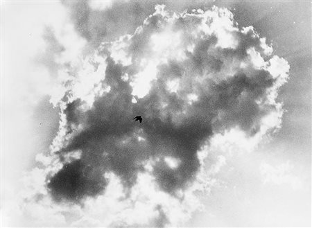 Mario Giacomelli (Senigallia 1925 - Senigallia 2000)Gabbiani 1980 ca.Stampa...