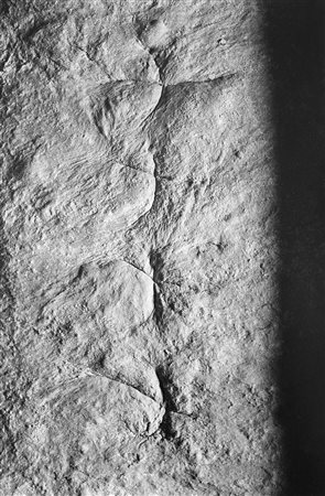 Antonio Biasiucci (1961)Pane 1991Stampa fotografica vintage alla gelatina...