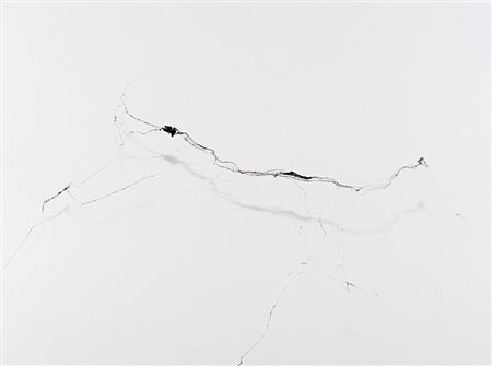 Gianluca Maver Web_2010 #9 2010Stampa fotografica lambda montata su...