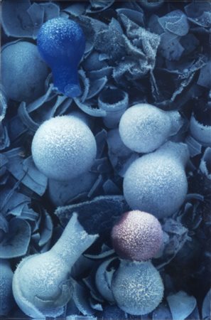 Luigi Erba (1949)Ritrovamenti N.2 1976/2005Stampa fotografica a colori...