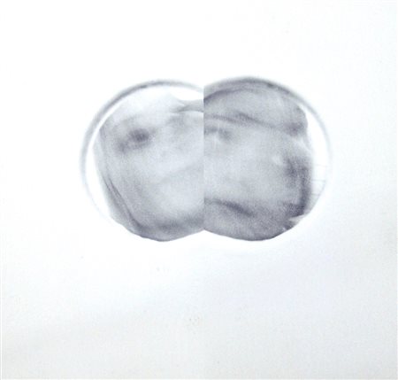 Roni Horn 1955, New York - [USA] Her, Her, Her & Her litografia 15x15 cm 2004...