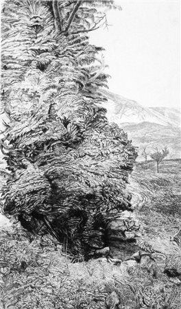 Roberto Stelluti 1951, Fabriano (An) - [Italia] Da Altdorfer acquaforte 70x50...