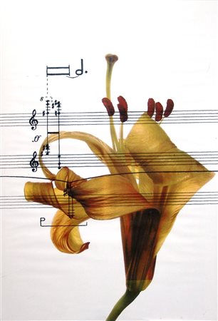 Fernando Andolcetti 1930, Lucca (Lu) - [Italia] senza titolo acquerello su...