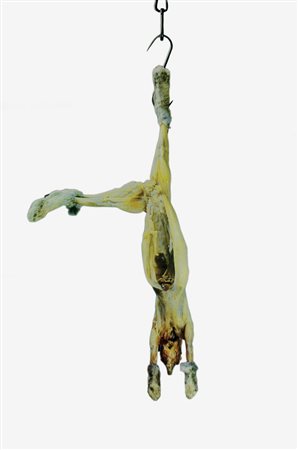 Michelangelo Pistoletto CONIGLIO APPESO serigrafia su acciaio lucidato a...