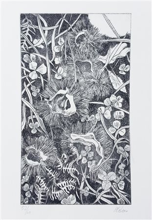 Andrea Celano Fiori 4 Litografie esemplare 52/60 cm 21x12,5