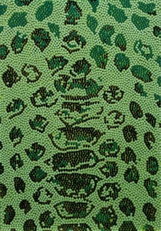 CARLO PASINI 1972 " Mutazione ", 2006 Acrilico, puntine da disegno su tavola,...