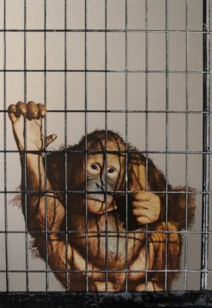 MICHELANGELO PISTOLETTO 1933 " Scimmia ", 1962/73 Serigrafia e litografia a...