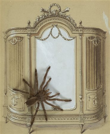 Daniel Spoerri (Galati -Romania 1930 ) La mygale dans l'armoire 1993,...