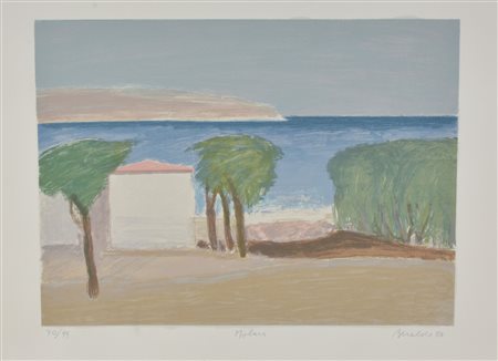 Franco Beraldo MOLARA litografia su carta, cm 50x70 esemplare 70 su 99 sul...