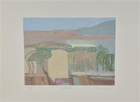 Franco Beraldo MANTELLO litografia su carta, cm 50x70 esemplare P.d.A. sul...