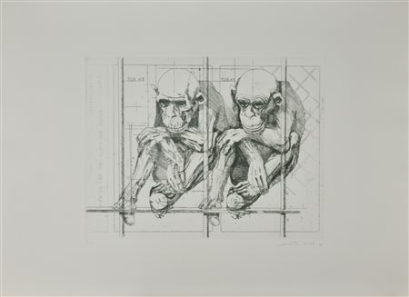 Sebastiano Trovato ANATOMIA DI UNA SCIMMIA incisione su carta, cm 50x70...
