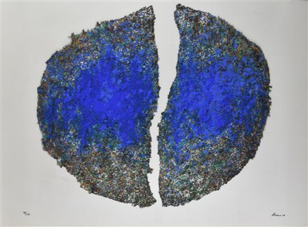 Renzo Nucara AMA LA NATURA serigrafia su pvc neutro, cm 70x90 esemplare 85 su...