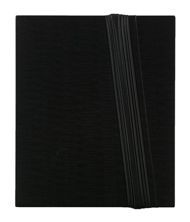 ALESSANDRO ALTEO (1997)Moncoromo nero 11, 2016Tecnica mista su tela...