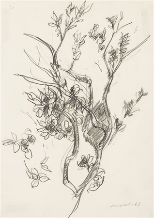 ENNIO MORLOTTI (1910-1992)Ramo di ulivo, 1963Matite su cartacm 48x34Firma e...