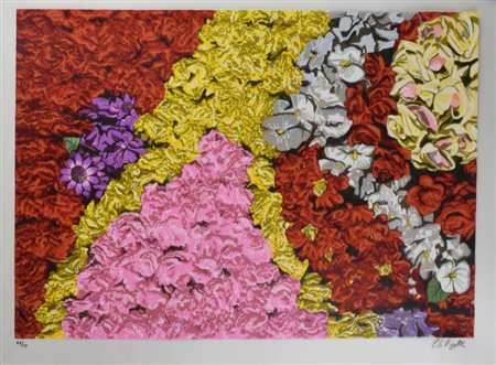 Carlo Rizzetti AMA LA NATURA serigrafia su pvc neutro, cm 70x90 esemplare 84...