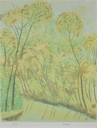 Umberto Lilloni IL LAGHETTO litografia su carta, cm 63x48 esemplare 72 di 99...