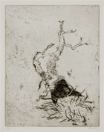 Anton Zoran Music Radici I – 1985 acquaforte, es. 19/125 cm. 44x34 l’inciso -...