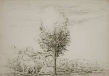Roberto Barni Paesaggio con buoi matita su carta cm. 35x50 Firma in basso a...