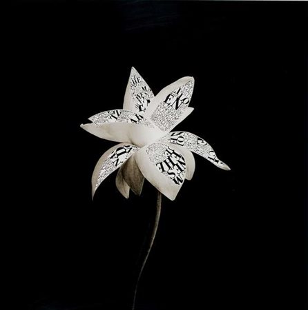 Fernando Andolcetti Fiore – 2008 stampa lambda da collage su carta...