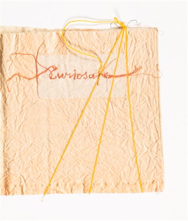 MARIA LAI (1919 - 2013)Curiosape, 2002Libro d'artecm 28,5x24,5NoteLibro...