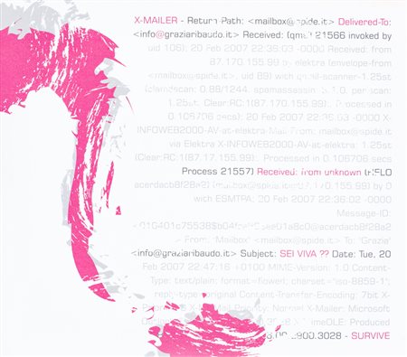 GRAZIA GRIBAUDO Mailer survive, 2007 Riporto fotografico su tela cm 37x42...