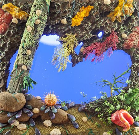 Piero Gilardi Torino 1942 "Fondo marino" Poliuretano espanso su fondo blu in...