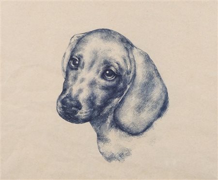 Lotto di varie opere raffiguranti cani, misure diverse.