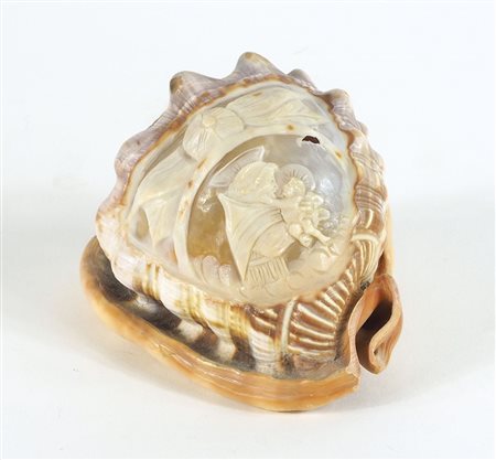 Grande conchiglia di mare con decoro inciso raffigurante S. Antonio. cm....