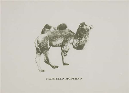 Mario Della Vedova Cammello Antico e Cammello Moderno – 1989 lotto composto...