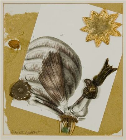 Daniel Spoerri Senza titolo – 1999 assemblaggio di oggetti e tecnica mista su...