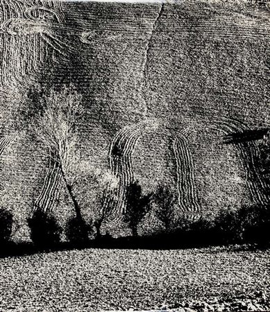 Mario Giacomelli Paesaggio – 1978 fotografia in bianco e nero ai sali...