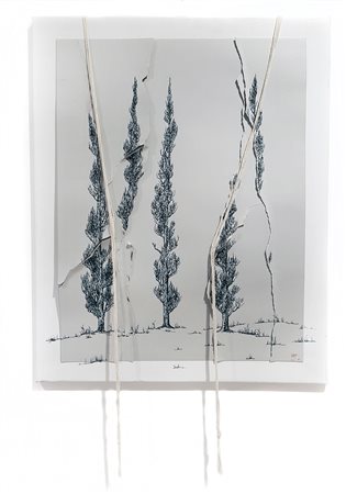 DOMENICO SORRENTINO Senza Titolo carta su tela installata cm 80x60