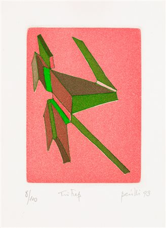 ACHILLE PERILLI (1927)Il caldo sapore della carta, 1993Libro d'arte...