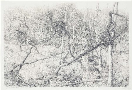 BARBISAN GIOVANNI Treviso 1914 - 1988 Vigneto acquaforte es. VIII/XX 33x49...