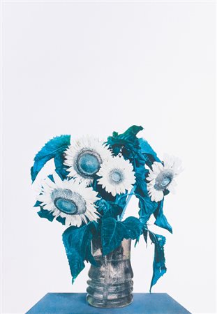 MICHELANGELO PISTOLETTO (1933)GirasoliSerigrafia su acciaio inossidabile...