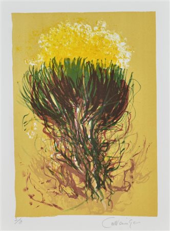 Giancarlo Cazzaniga GINESTRE litografia, foglio cm 27x20 firmato e numerato...