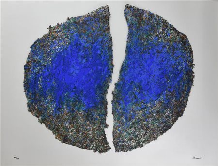 Renzo Nucara AMA LA NATURA serigrafia su pvc neutro, cm 70x90 esemplare 84 su...