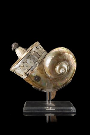 Arte indo-portoghese. Porta polvere ricavato da un nautilus con parte...