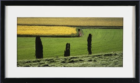 VIGANO' ALBERTO (n. 1940) Senza titolo. C-print, cm 44x21. Cornice presente.