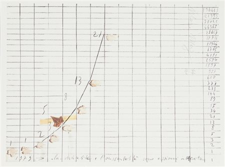 MARIO MERZ (1925-2003) Da un Erbario raccolto nel 1979 in Woga-Woga...