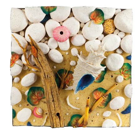 PIERO GILARDI (1942-) Litiaxis caraibicapoliuretano cm 50x50firmato e...