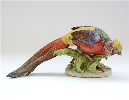 Manifattura di Dresda "Fagiano" scultura in porcellana policroma (h. cm 25)...